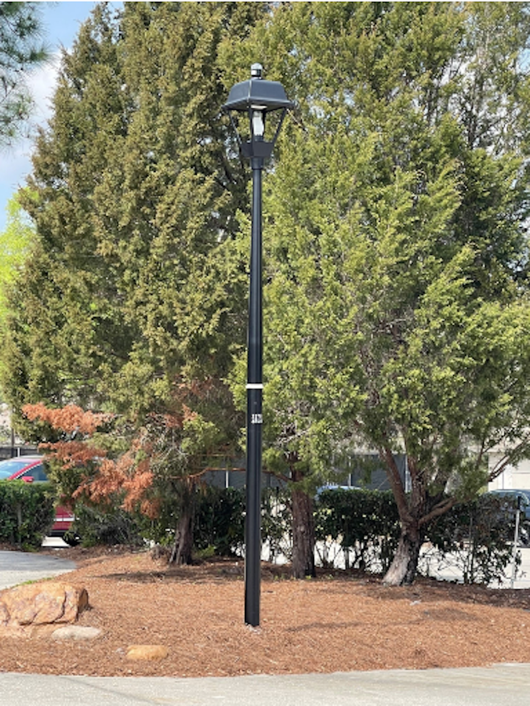 Street Light Renewal Project:  An effort to contain costs thumbnail
